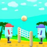 Beach Volleyball