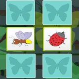 Kids Memory with Insects