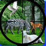 Real Jungle Animals Hunting